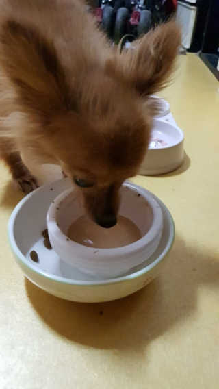 Rushx님이 올린 리뷰 사진 2