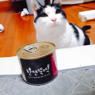한라봉님이 올린 리뷰 사진 1