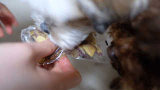 이슬비님이 올린 리뷰 사진 4
