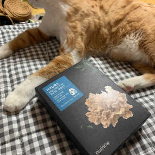 지나조이님이 올린 리뷰 사진 1