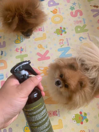 감자링님이 올린 리뷰 사진 1