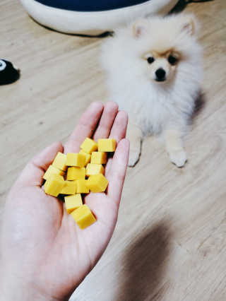 으콩님이 올린 리뷰 사진 1