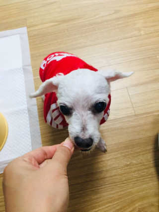 구보리님이 올린 리뷰 사진 4