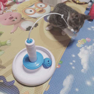 nari1346님이 올린 리뷰 사진 2
