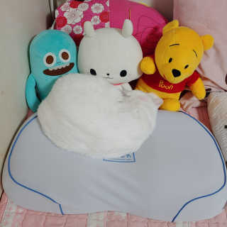라온시연님이 올린 리뷰 사진 1