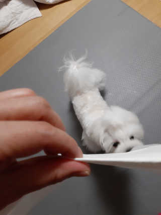 꿍님이 올린 리뷰 사진 2