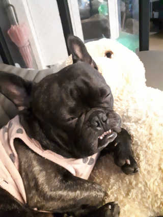 토르맘님이 올린 리뷰 사진 3