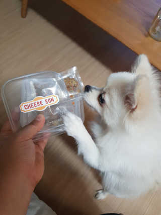 현연설이맘님이 올린 리뷰 사진 2