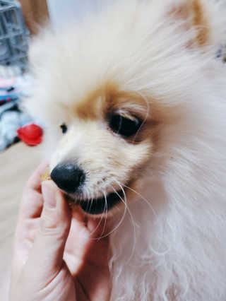으콩님이 올린 리뷰 사진 3