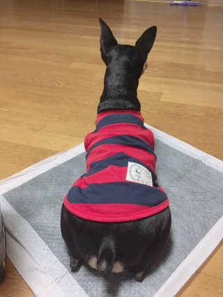 jaehwa님이 올린 리뷰 사진 1