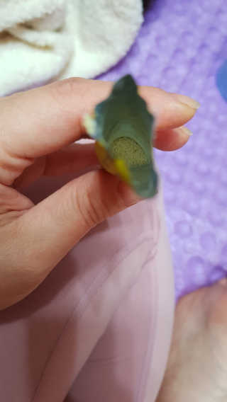 이영실님이 올린 리뷰 사진 3