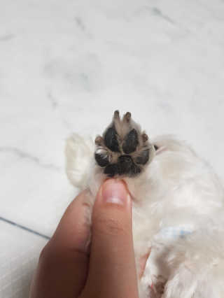 찡님이 올린 리뷰 사진 3