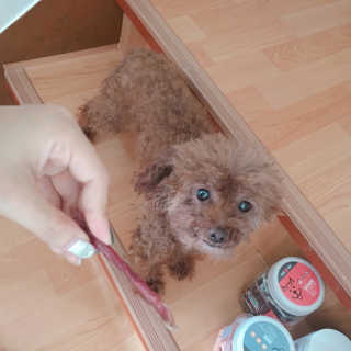 한나뿡님이 올린 리뷰 사진 4