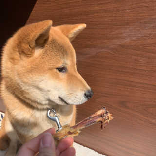 아라곤님이 올린 리뷰 사진 3