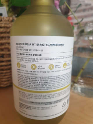 달리프 클로렐라 베러 루트 릴렉싱 샴푸 500ml — 5점을 준 리뷰어가 2020년 2월 올린 사용 사진