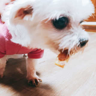 민정이1004님이 올린 리뷰 사진 1