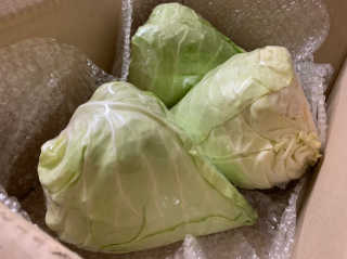 [프레베] 꼬깔양배추 3통 1.8kg 이상 — 5점을 준 리뷰어가 2018년 12월 올린 사용 사진