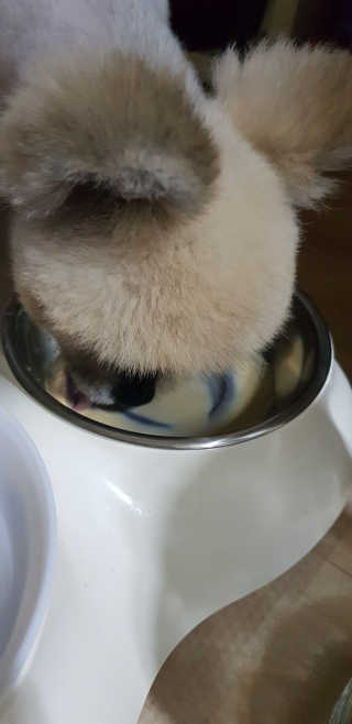 레고사줘님이 올린 리뷰 사진 2