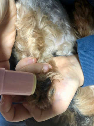 madsanta님이 올린 리뷰 사진 2