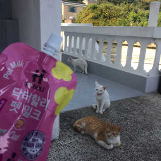단발소녀님이 올린 리뷰 사진 1