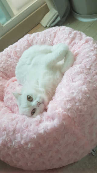 Elin님이 올린 리뷰 사진 1