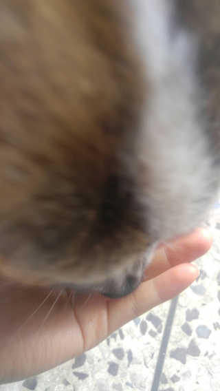 도이님이 올린 리뷰 사진 4
