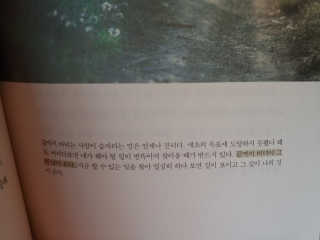 나리님님이 올린 리뷰 사진 2