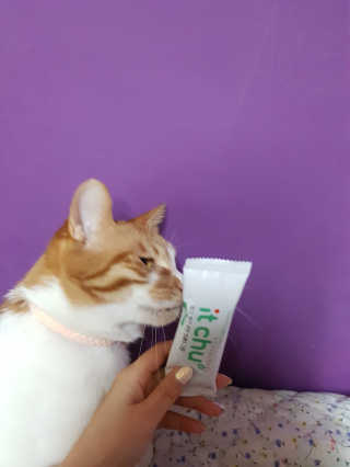 신예지님이 올린 리뷰 사진 3
