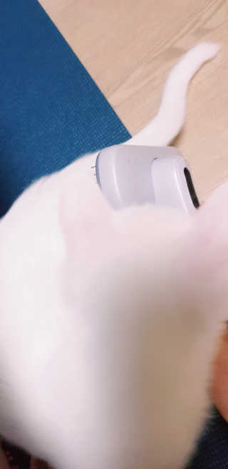 대박이님이 올린 리뷰 사진 2