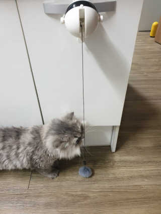 또잘꺼야님이 올린 리뷰 사진 4
