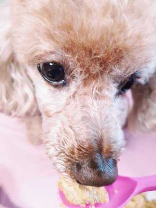 뚠꾸뚠꾸💕님이 올린 리뷰 사진 4