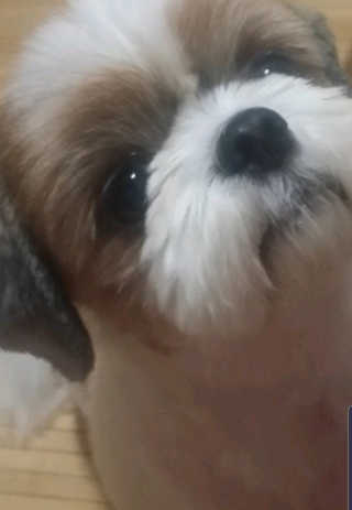 초보마로님이 올린 리뷰 사진 4