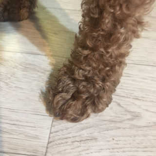 kwon님이 올린 리뷰 사진 4