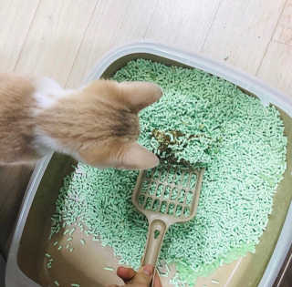 임혜빈님이 올린 리뷰 사진 3