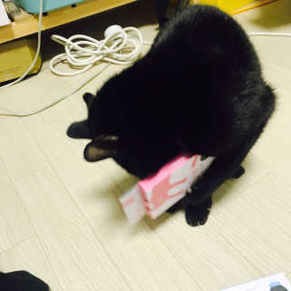 뚜비님이 올린 리뷰 사진 2