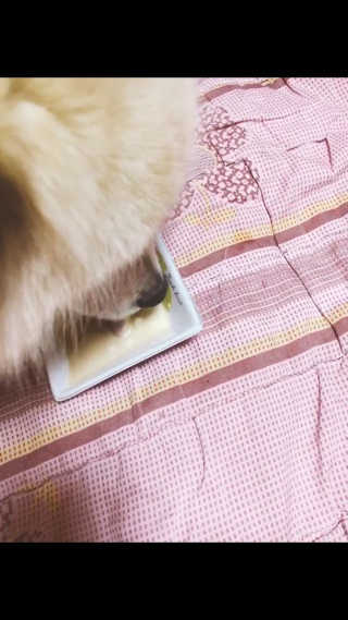 은세님이 올린 리뷰 사진 1