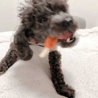 뚜르기님이 올린 리뷰 사진 3