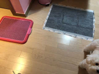 marimaria님이 올린 리뷰 사진 3