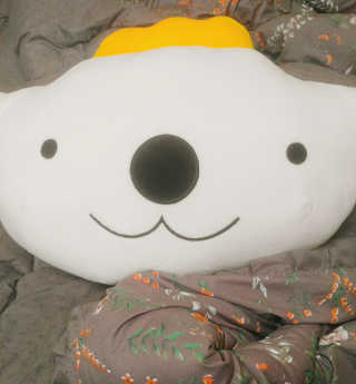 아리님이 올린 리뷰 사진 1