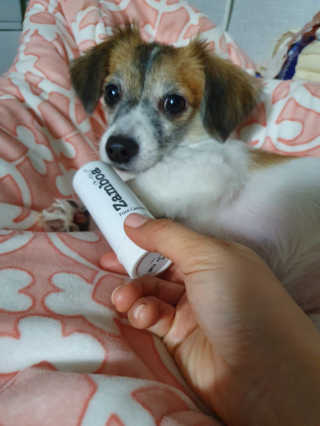 김미진님이 올린 리뷰 사진 1