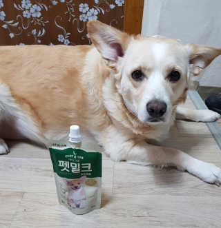 [빙그레] 에버그로 생유산균 1봉（10포입）+펫밀크2팩 — 5점을 준 리뷰어가 2019년 3월 올린 사용 사진