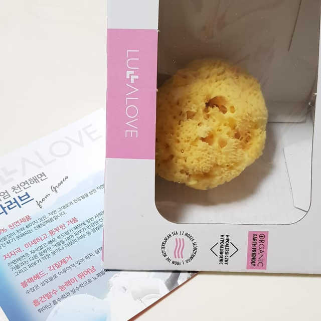 모공관리끝 천연해면 뷰티스펀지 리뷰 사진