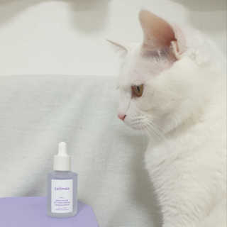 이주아님이 올린 리뷰 사진 2