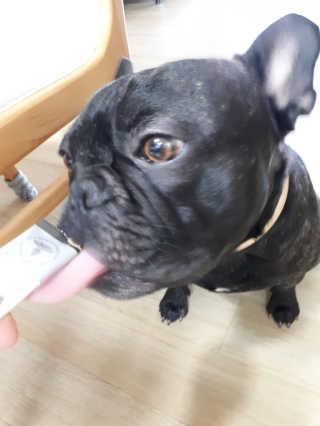 토르맘님이 올린 리뷰 사진 3