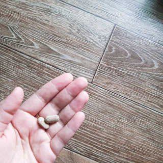 다움나음맘님이 올린 리뷰 사진 1