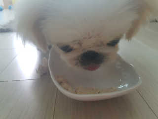 꽃당님이 올린 리뷰 사진 3