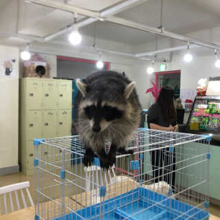 조리님이 올린 리뷰 사진 2