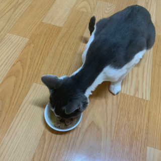 둥이님이 올린 리뷰 사진 2