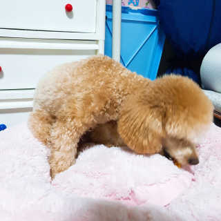 장예슬님이 올린 리뷰 사진 4