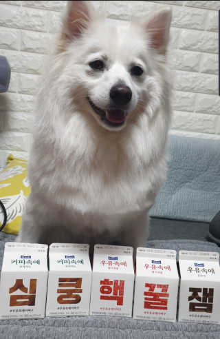 [매일유업] 우유속에 어쩌구_7개 모바일쿠폰 — 4점을 준 리뷰어가 2019년 6월 올린 사용 사진